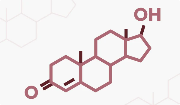 Nitric Oxide Boosting Supplements Can Help Support Energy And Libido